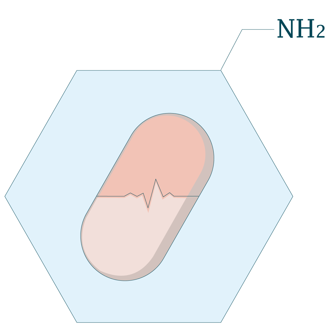 Aniline Pharmacy